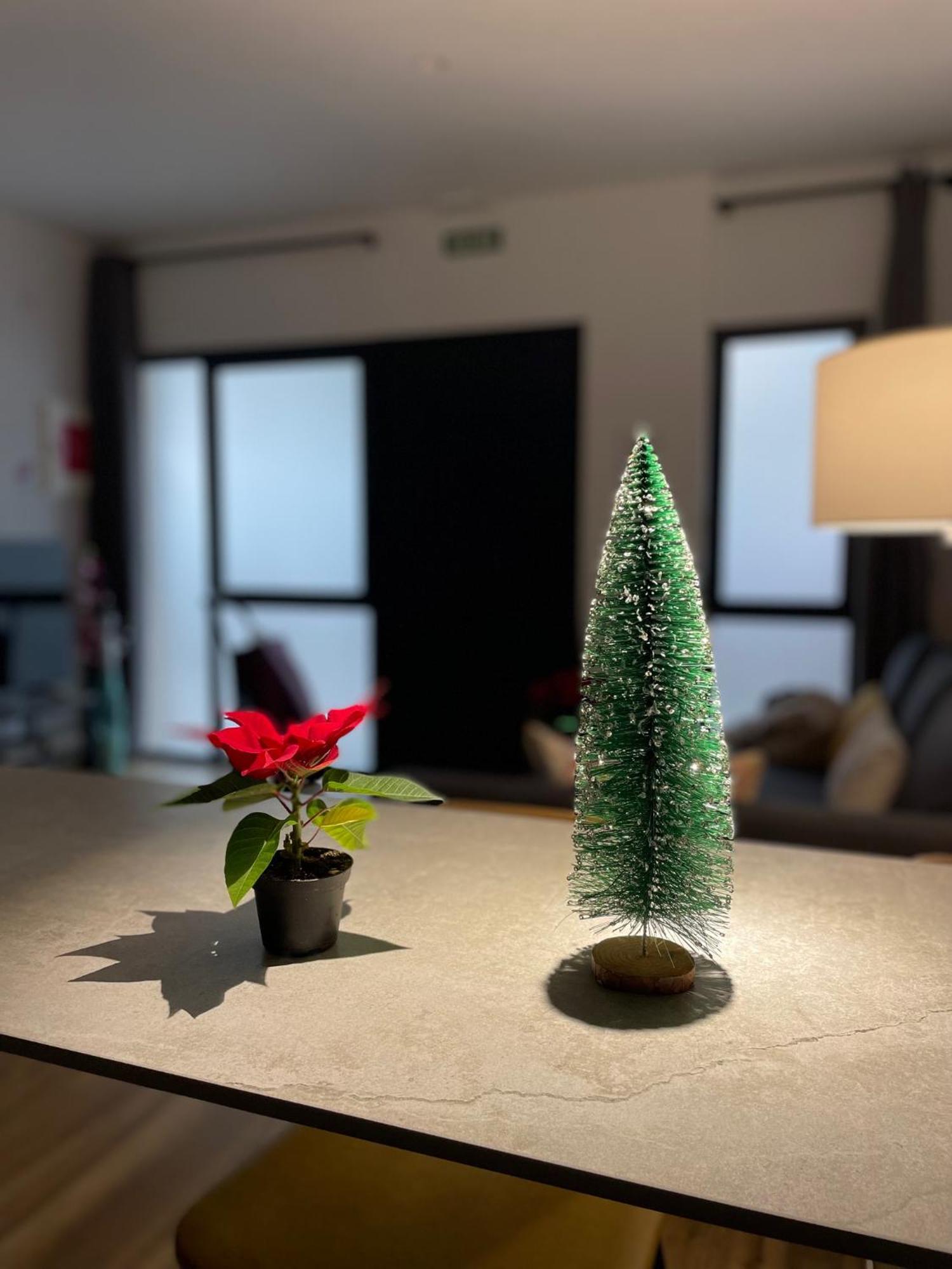 Junto Al Jardin Del Turia Apartamento Βαλένθια Εξωτερικό φωτογραφία